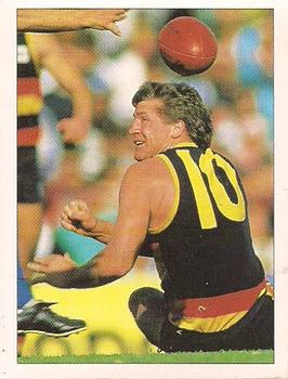 1992 Select AFL Stickers #21 Chris McDermott Front